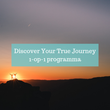 1-op-1 programma life guiding