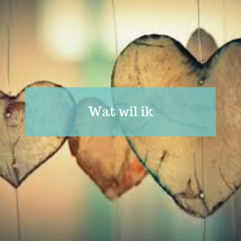 Wat wil ik echt life guiding